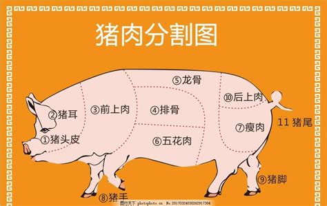 猪八戒吃西瓜卡通素材图片免费下载-千库网