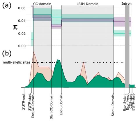 Gene Conversion Explains Elevated Diversity in the Immunity Modulating ...