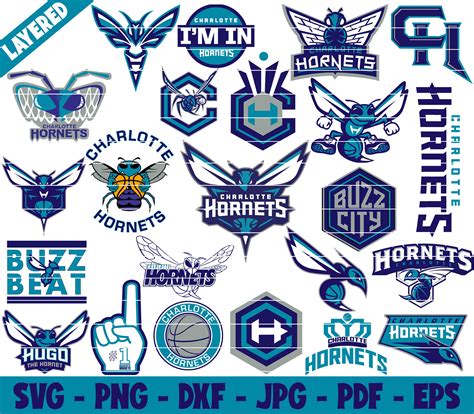 Charlotte Hornets Team Logo