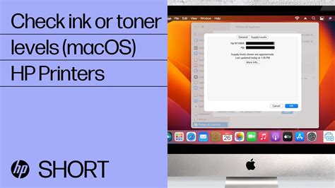 Image result for Printer Ink Levels HP