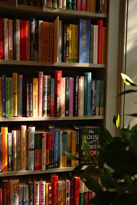 Image result for Library Bookcase Tour