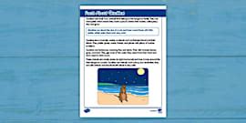 What Is A Quokka? - Twinkl Teaching Wiki - Twinkl