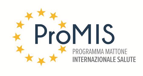 Image result for Promis Comp