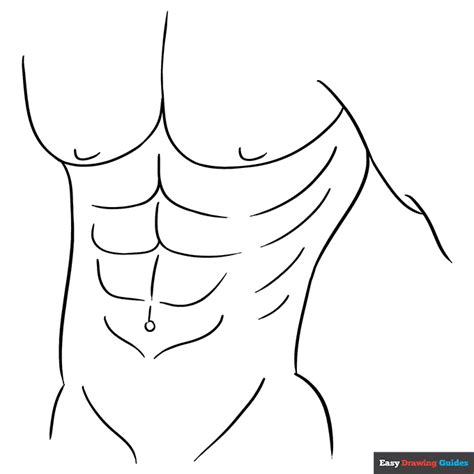 Image result for Draw Abs for Beginners
