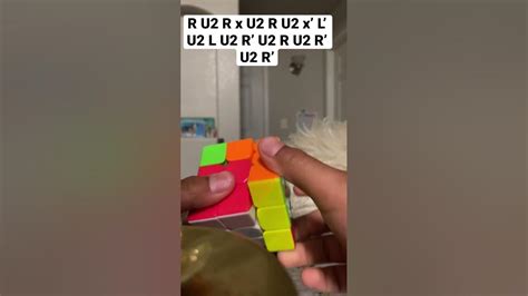 Oll Tutorial 的图像结果