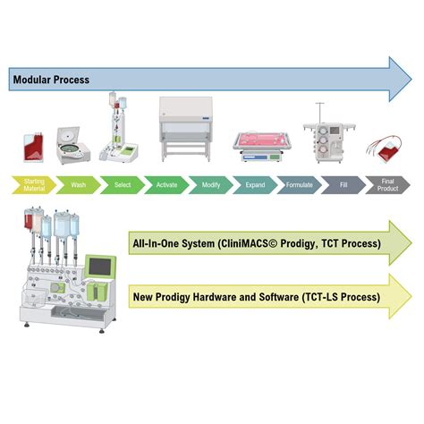 Cell Therapy Process 的图像结果