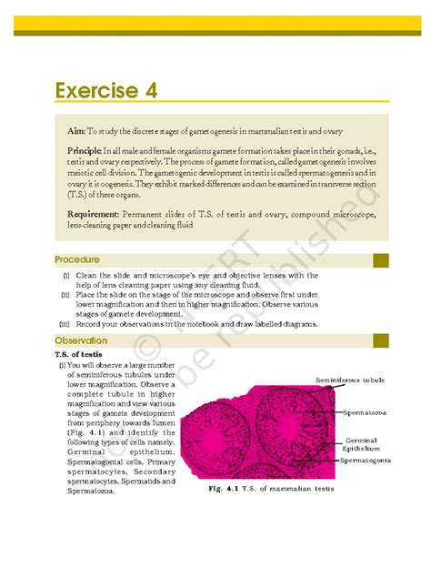 Population Interactions: An Overview of Ecological Dynamics - Studocu