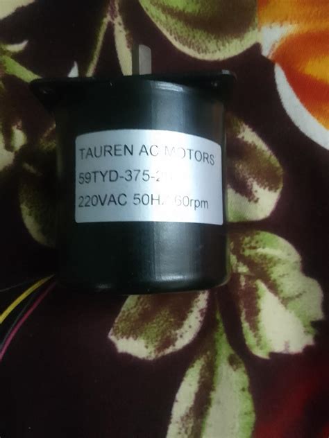 59TYD-375-2B AC Synchronous Motor 220VAC 50HZ - 30 RPM : Amazon.in ...