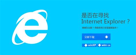 IE10.0中文版-IE10.0浏览器中文版官方（暂未上线） - 浏览器家园