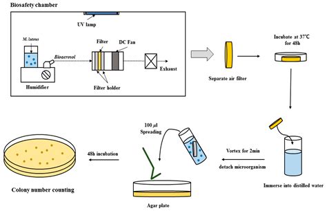 Antimicrobial Air Filter Coating with Plant Extracts Against Airborne ...