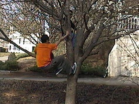 Climb That Tree 的图像结果