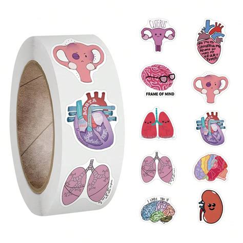 500PCS Anatomy Stickers Roll Vinyl Aesthetics Stickers For Scrapbooking ...