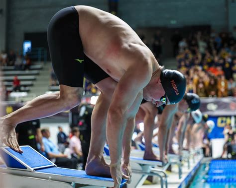 Florida Gators Swimming 的图像结果