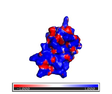 Image result for PyMOL Electrostatic Potential