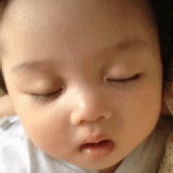 Blender 2.79 Tutorials for Windows 10 的图像结果