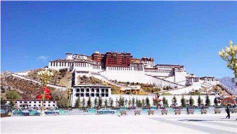 2020年西藏高考志愿填报及录取政策 - 知乎