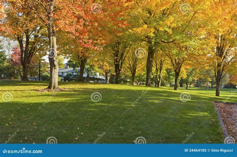 Public Park Panorama Gresham Oregon. Stock Image - Image of pacific ...