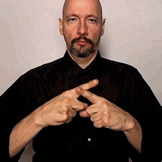 Image result for Garbage Disposal Reset Button Not Working