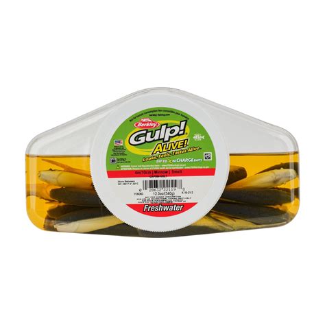 Image result for Gulp Alive