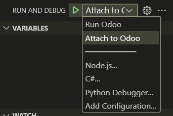Image result for Debugpy