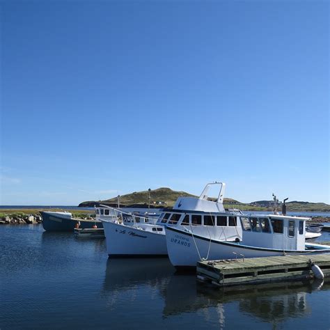 Les Fruits De Mer Madeleine - Havre-Aux-Maisons (Ile du Havre aux ...