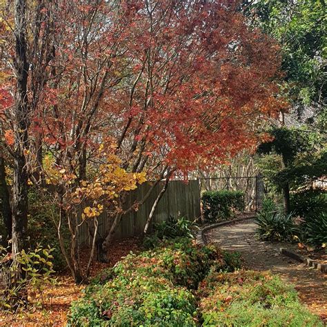 HOMEWOOD COTTAGES (Highfields) - Cottage Reviews & Photos - Tripadvisor