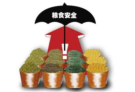 非洲粮食安全再拉警报：饥饿人口持续上升_国家