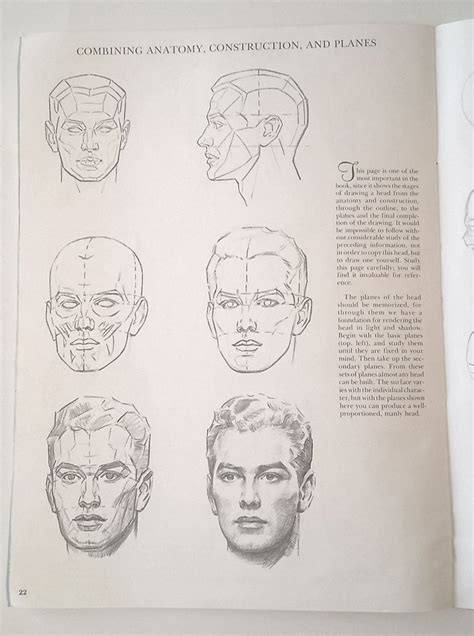 Image result for Loomis Method of Drawing