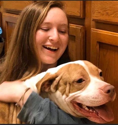 Camp Kitty NJ - Pet Sitting, House Sitting