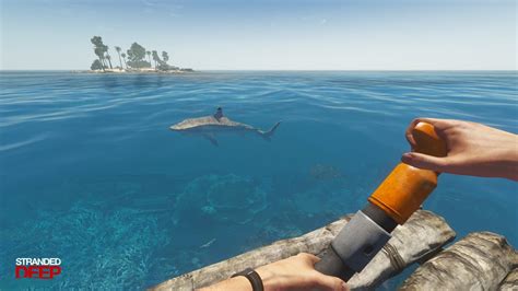 Stranded Deep Update 的图像结果