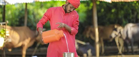 Muruku and Chakli: A Delectable Tale of Indian Savory Snacks