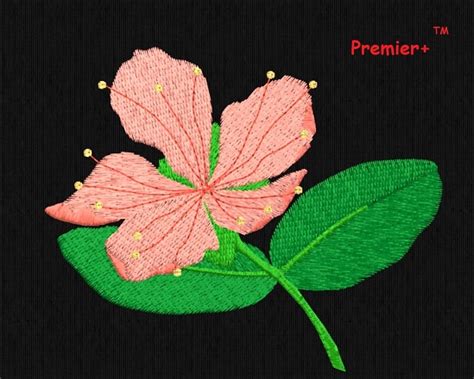 Image result for Premier Embroidery Software Tutorials