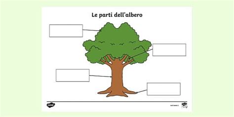 Le parti dell'albero (teacher made) - Twinkl