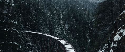 Download wallpaper 2560x1080 bridge, railway, snow, trees, mountains ...