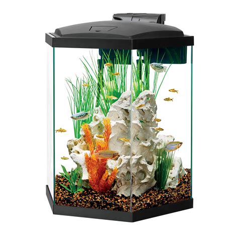 30 Gallon Octagon Fish Tank 30 Gallon Hexagon Tank