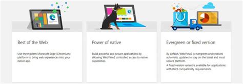 Edge WebView2 Features 的图像结果