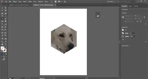 Illustrator Clipping Mask Tutorial 的图像结果