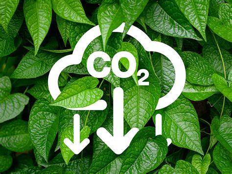 Image result for Decarbonization Process