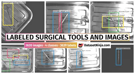 Labeled Surgical Tools and Images - Dataset Ninja