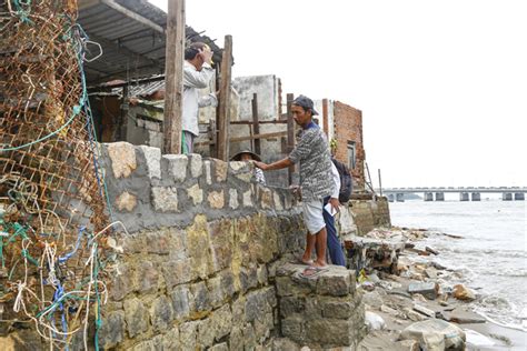 De Con Nhanh Tri 的图像结果