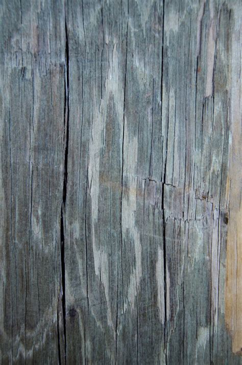 Chia sẻ texture gỗ và tường - Công ty in ấn Kon Tum