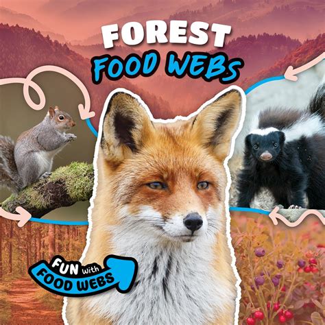 Forest Food Webs (Fun With Food Webs) : Mather, Charis: Amazon.in: Books