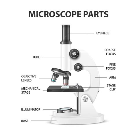 Microscope Blank at Gail Hendershot blog