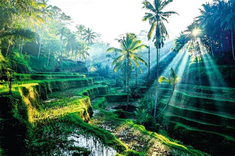 Weather in Bali in December | TUI.co.uk