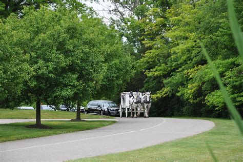 Cemetery Features - Michigan Memorial Funeral Home