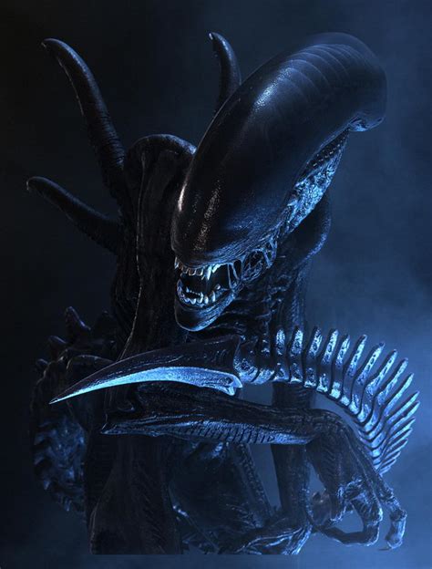 Image result for Alien vs Predator Xenomorph