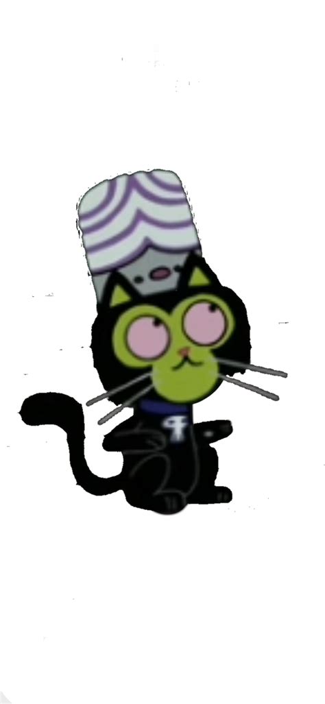 Image result for Modjo Lady Cat