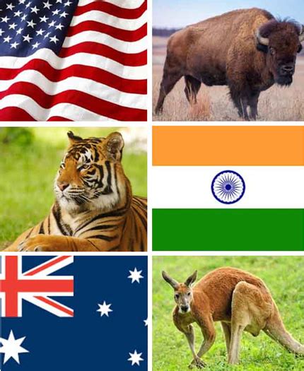 Play The Ultimate National Animals of Countries Quiz Game 2021 Online ...