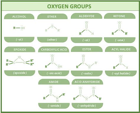 Functional Group Tutorial 的图像结果