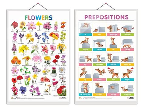 Early Learning Educational Charts for Kids (Flowers) (Flowers and ...